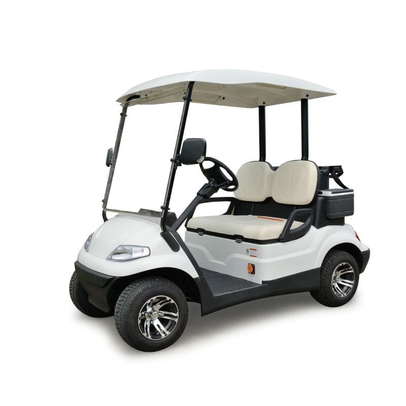 Lvtong Electric 2-Seater Low-Speed Utility Golf Cart