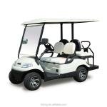 Lvtong Electric 2-Seater Low-Speed Mini Club Car