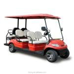 Lvtong Electric 2-Seater Low-Speed Mini Club Car