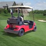 LVTONG LT-A627.2P Electric 2-Seater Low-Speed Utility Vehicle