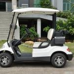 Lvtong LT-A627.2 2-Seater Electric Golf Cart Low Speed Vehicle