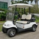 Lvtong LT-A627.2 2-Seater Electric Golf Cart Low Speed Vehicle