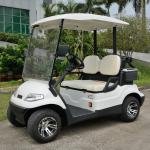 Lvtong LT-A627.2 Electric Golf Cart 48V 4kW AC Motor 2-Passenger Utility Vehicle