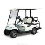 Lvtong LT-A627.2 Electric Golf Cart 48V 4kW AC Motor 2-Passenger Utility Vehicle