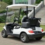 Lvtong LT-A627.2 48V 3.7kW Electric 2-Seater Golf Car