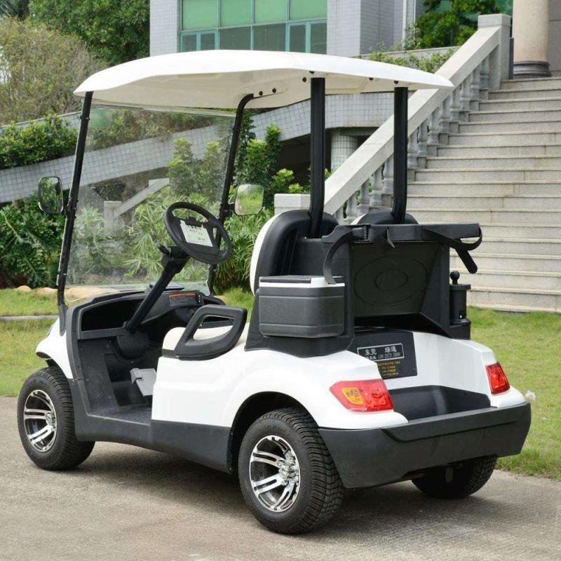 Electric 48V 4kW 2-Seater Utility Shuttle