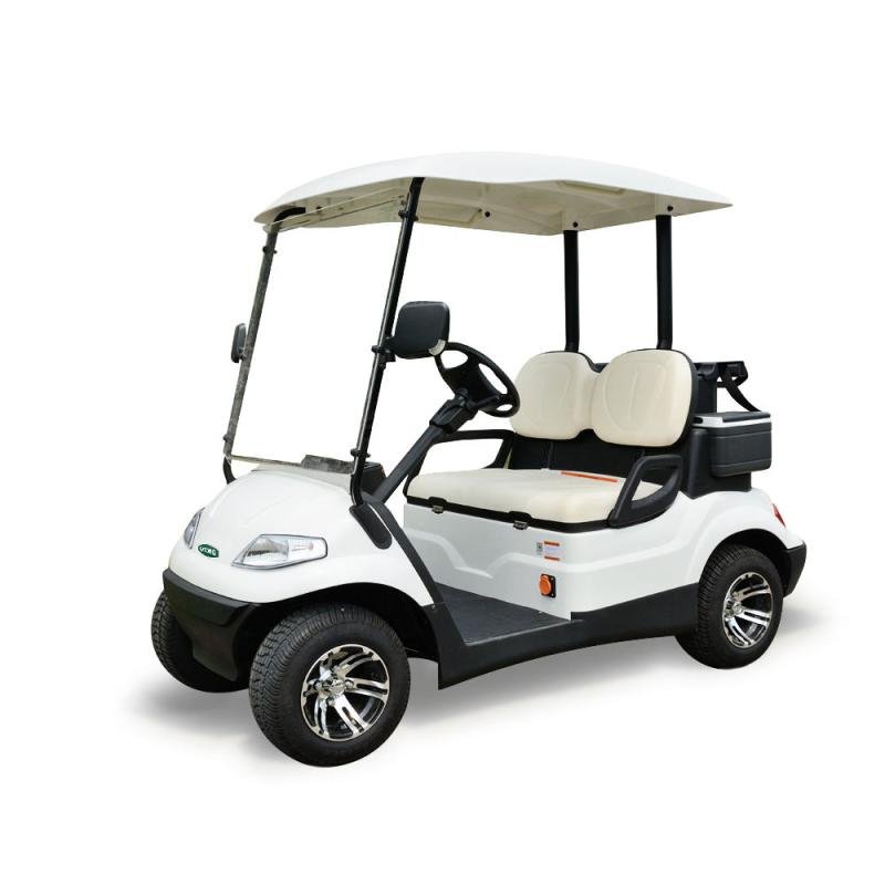 Electric 48V 4kW 2-Seater Utility Shuttle