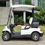 Electric 48V 4kW 2-Seater Utility Shuttle