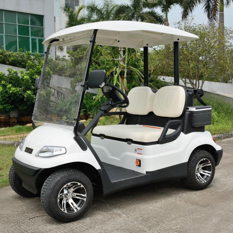 Electric 48V 4kW 2-Seater Utility Shuttle