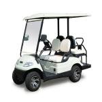 Lvtong 2-Seater Electric Low-Speed Golf Cart