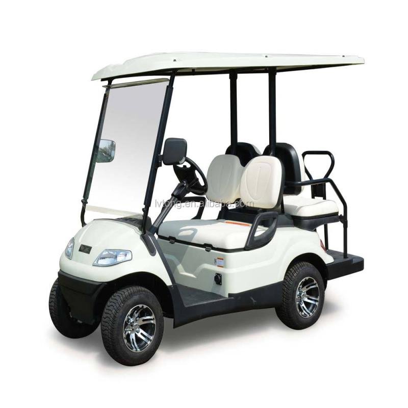 Lvtong 2-Seater Electric Low-Speed Golf Cart