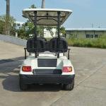 LVTONG 48V 4kW AC 6-Seater Electric Club Car