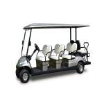 LVTONG LT-A627.6 Electric 6-Passenger Low-Speed Utility Vehicle