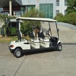 LVTONG LT-A627.6 Electric 6-Passenger Low-Speed Utility Vehicle