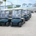 Electric 48V 2-Seater Golf Utility Cart (LT-A2) Low-Speed Passenger Vehicle