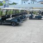 Electric 48V 2-Seater Golf Utility Cart (LT-A2) Low-Speed Passenger Vehicle