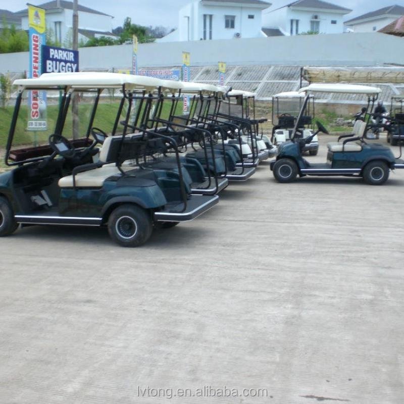 Electric 48V 2-Seater Golf Utility Cart (LT-A2) Low-Speed Passenger Vehicle