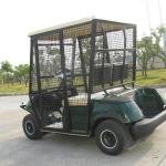Electric 48V 2-Seater Golf Utility Cart (LT-A2) Low-Speed Passenger Vehicle