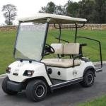 LVTONG LT_A2 2-Seater Electric Golf Cart