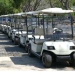 LVTONG LT_A2 2-Seater Electric Golf Cart