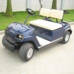 LVTONG LT_A2 2-Seater Electric Golf Cart