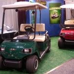 LVTONG 48V 4kW 2-Seater Electric Golf Cart