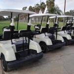 LVTONG 48V 4kW 2-Seater Electric Golf Cart