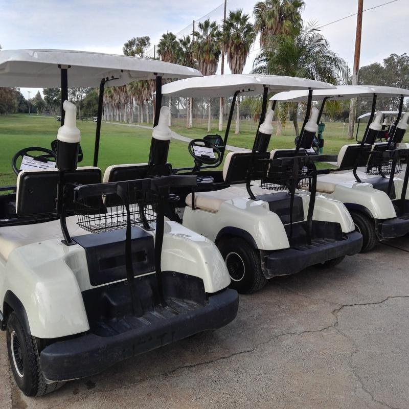 LVTONG 48V 4kW 2-Seater Electric Golf Cart