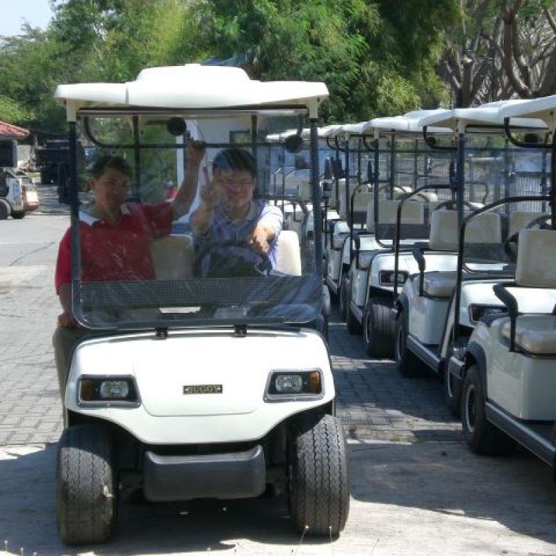 LVTONG 48V 4kW 2-Seater Electric Golf Cart