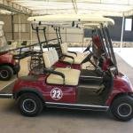 LVTONG 48V 4kW 2-Seater Electric Golf Cart