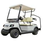 LVTONG 48V 4kW 2-Seater Electric Golf Cart