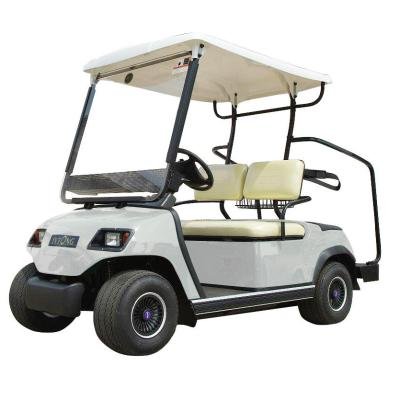 LVTONG 48V 4kW 2-Seater Electric Golf Cart