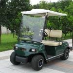 LVTONG 48V 4kW 2-Seater Electric Golf Cart