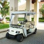Lvtong 48V 3KW Electric 4-Seater Low-Speed Utility Golf Cart