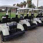 48V 2-Seater Enclosed Low-Speed Electric Utility Cart