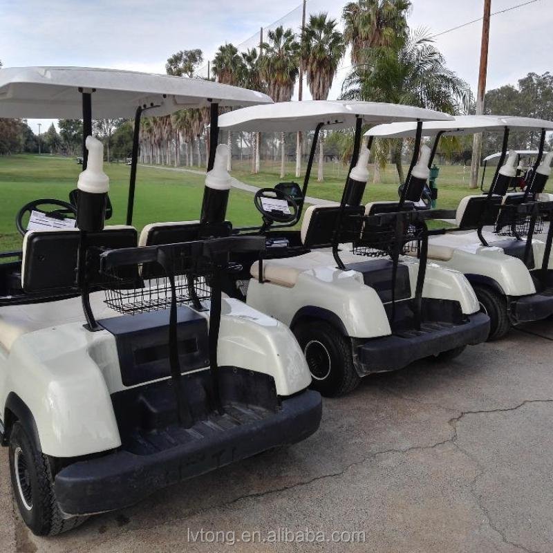 48V 2-Seater Enclosed Low-Speed Electric Utility Cart