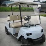 48V 2-Seater Enclosed Low-Speed Electric Utility Cart