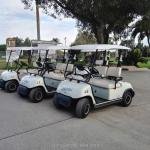 48V 2-Seater Enclosed Low-Speed Electric Utility Cart