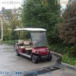 Lvtong 48V 6-Seater Electric Sightseeing Golf Cart