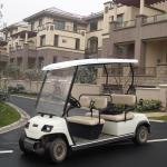 LVTONG LT-A4 Electric 4-Passenger Low-Speed Sightseeing Resort Buggy