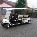 Lvtong LT-A8+ 48V Electric 11-Seater Sightseeing Bus