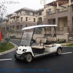 Electric 4-Person Low-Speed Disability Access Cart (LT-A4)