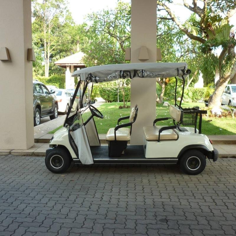 LVTONG LT-A4 48V 4KW Electric 4-Seater Golf Cart