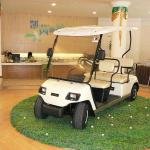 LVTONG LT-A4 48V 4KW Electric 4-Seater Golf Cart