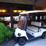 LVTONG 48V 4KW 4x4 Electric UTV Four-Seater Utility Vehicle