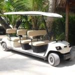 LVTONG LT-A8 48V 4kW 8-Seater Electric Golf Cart