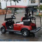 Lvtong KDS48V 3.7KW Electric 2-Person Golf Car