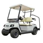 LVTONG LT-A2 Electric Golf Cart - 48V 3.7KW 2-Passenger Low Speed Vehicle