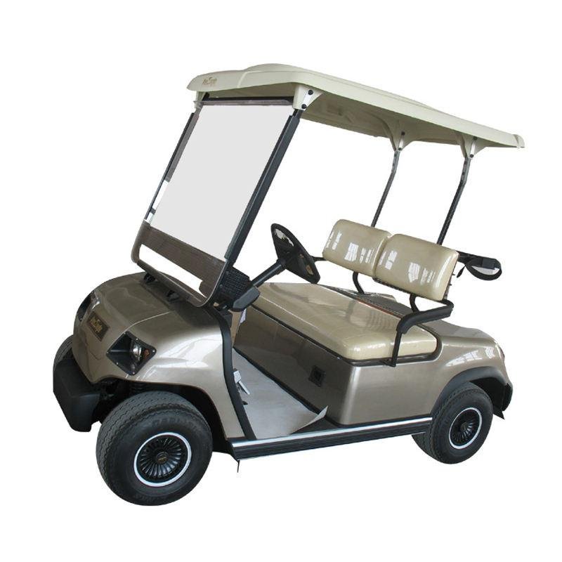 Lvtong 48V 2-Seater Electric Golf Cart Utility Vehicle