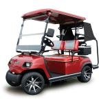 Lvtong 48V 2-Seater Electric Golf Cart Utility Vehicle